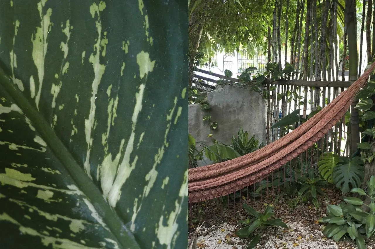 Wabi Sabi Garden Guesthouse By Amara Concepts. Tulum Mexico
