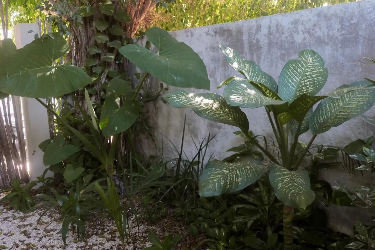Wabi Sabi Garden Guesthouse By Amara Concepts. Tulum 0*,